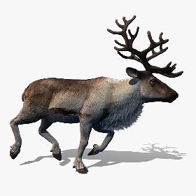 3D Military Clothing Collection 1